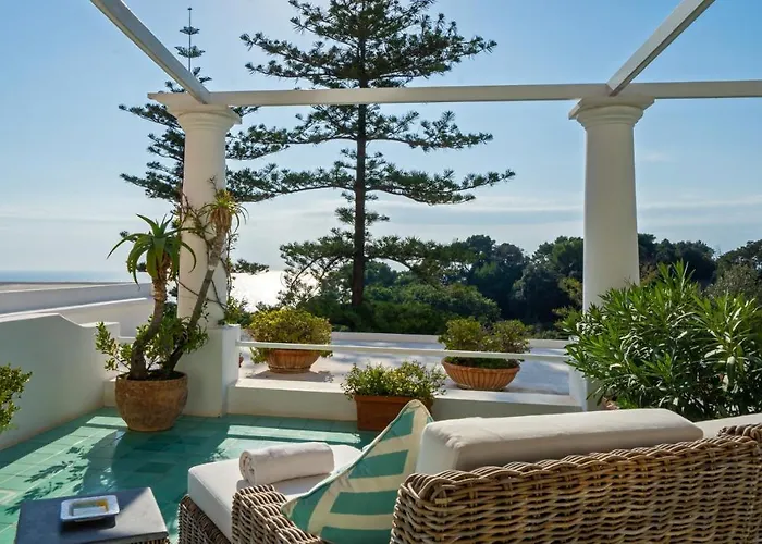 La Minerva 卡普里